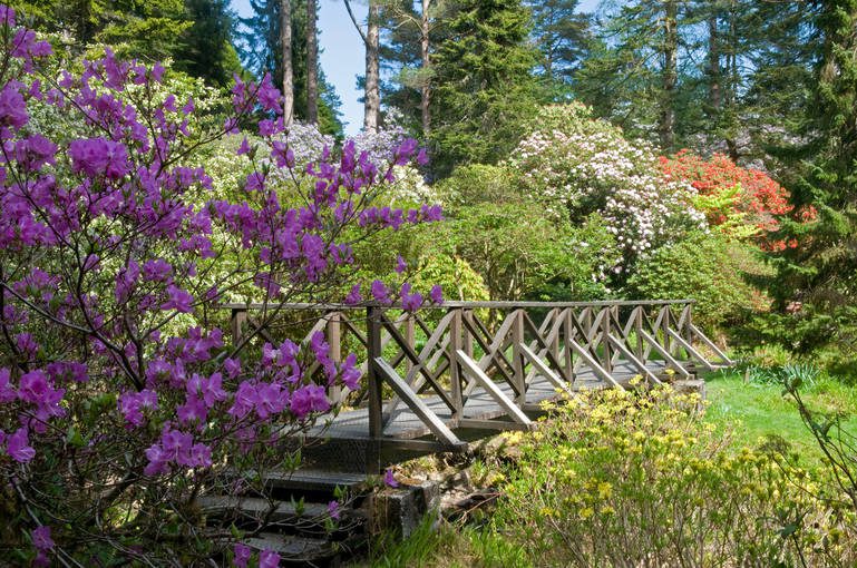 Places to visit at Scotland - Crarae, Arduaine, Benmore Gardens - Escape to large holiday rental villa at Pleasant Hill Scotland